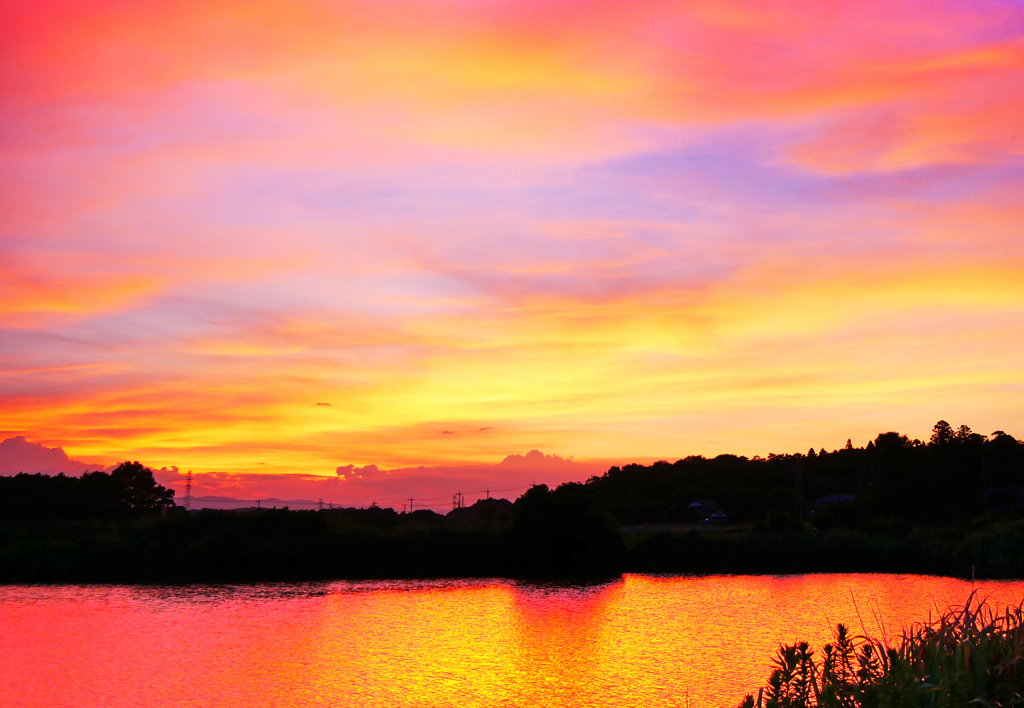 晩夏夕映え
