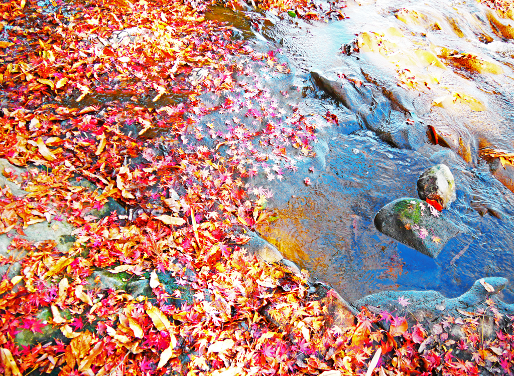 散り紅葉