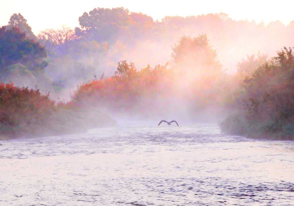 おーい！　何処へ行くの？