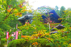 秋めく頃