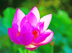 優しさにつつまれて