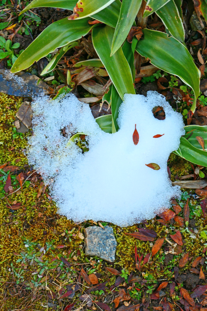 残る雪
