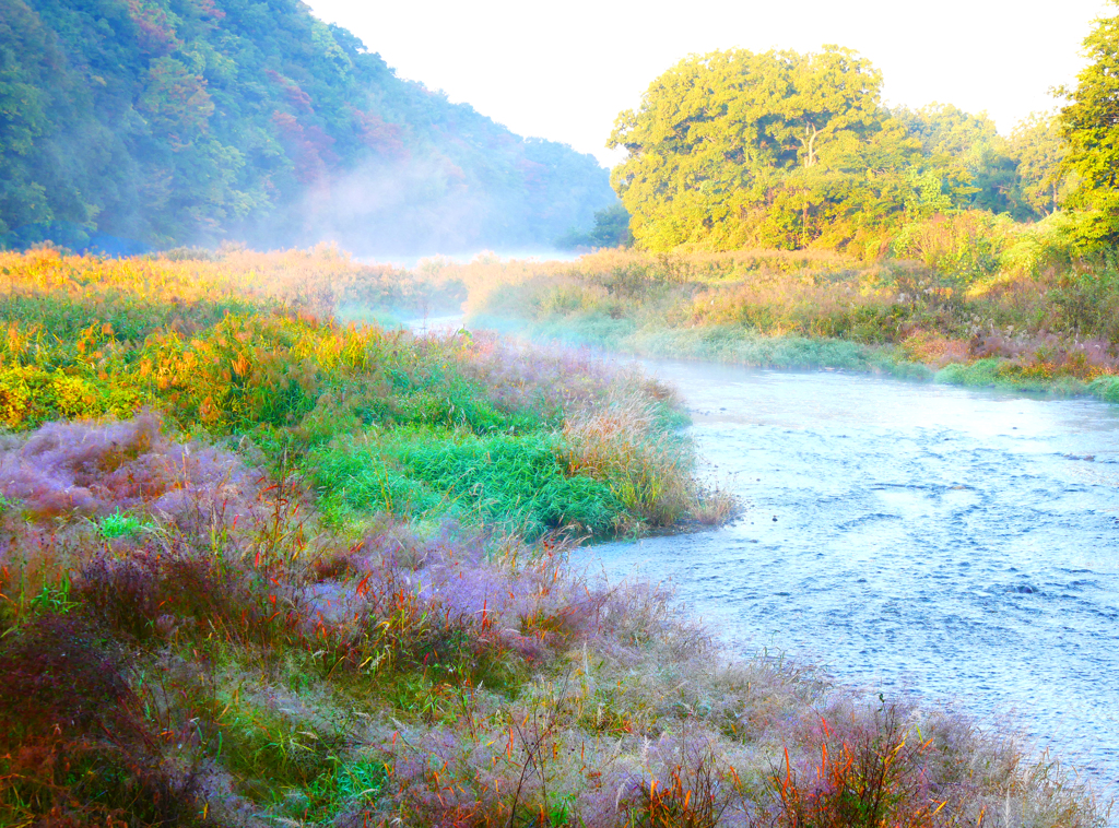川霧の朝