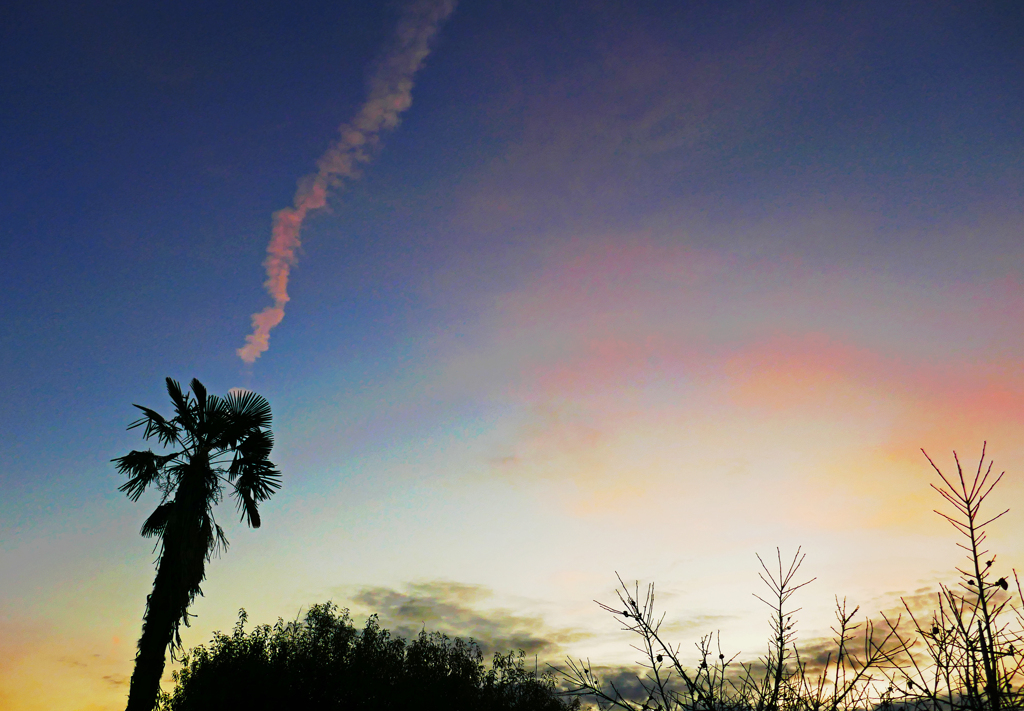 朝空