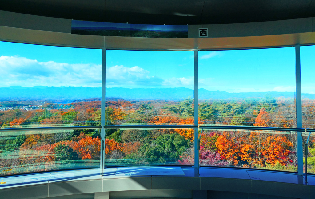 パノラマの光景