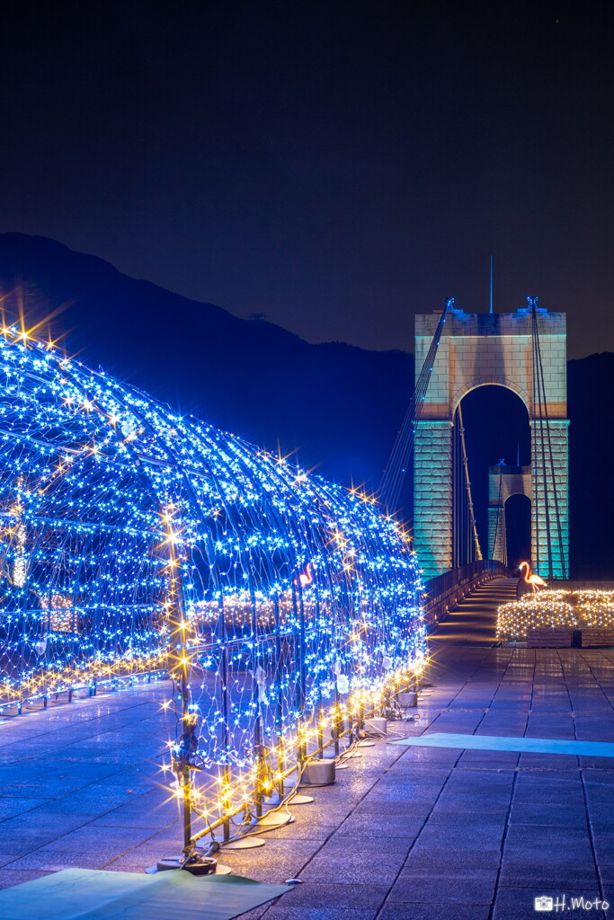 光のトンネルと橋