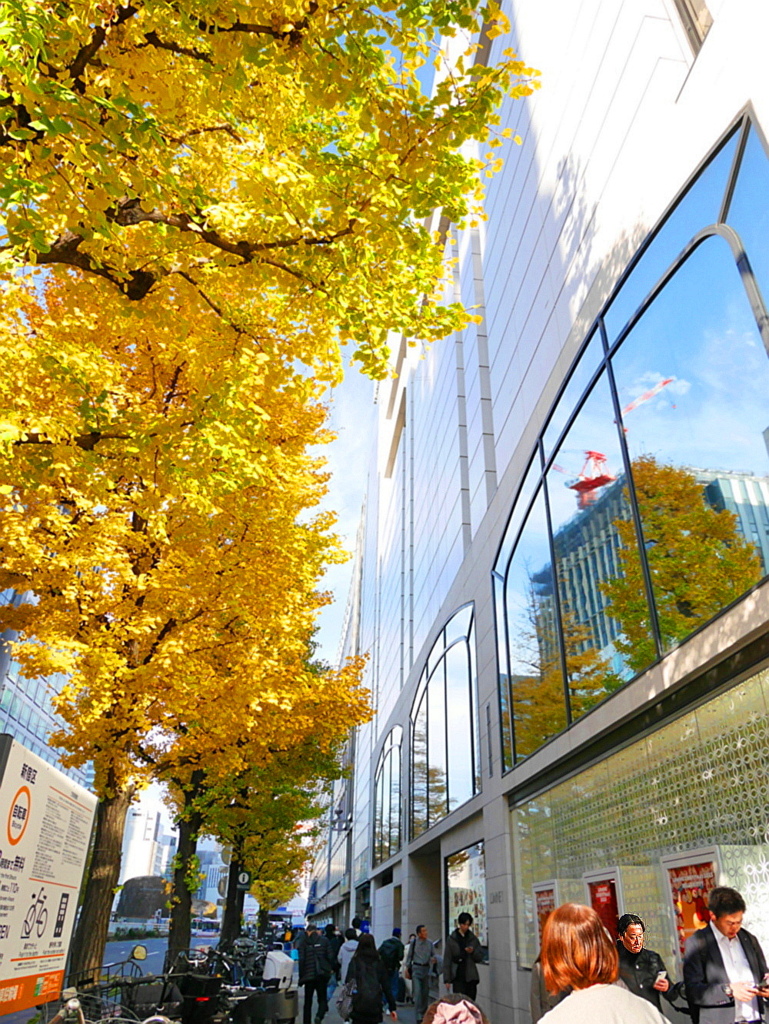 新宿駅西口の黄葉