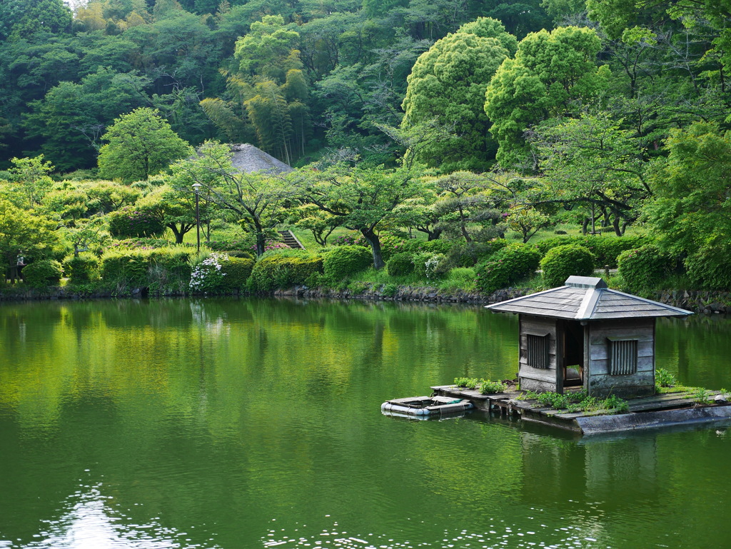 緑の静寂