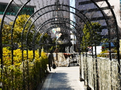アーチ