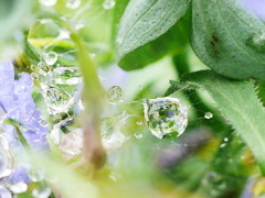 彩り雨滴