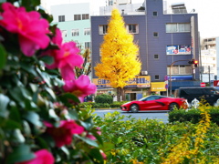 スポーツカーも紅葉？