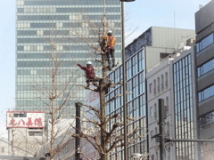 高い高い怖い