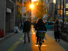 夕陽の道