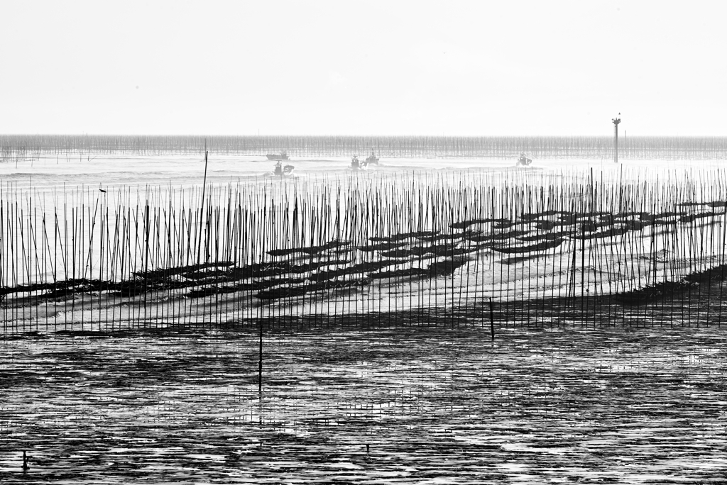 干拓堤防内と外