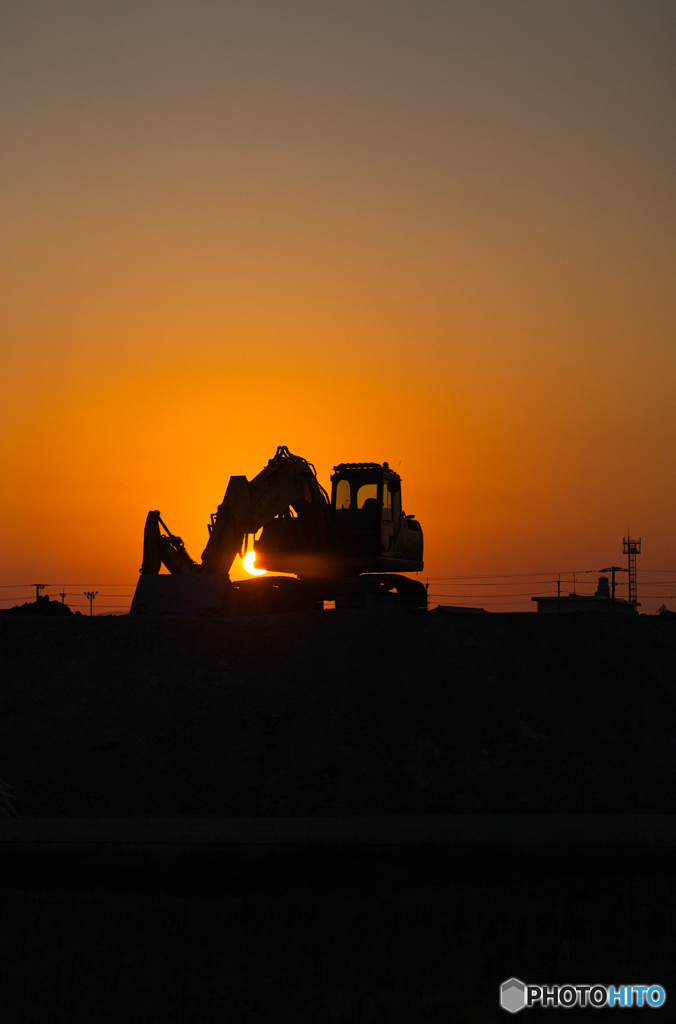 犬と散歩、その道すがら