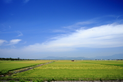 海岸堤防内と外