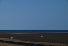 海岸堤防内と外