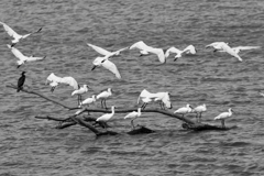 海岸堤防内と外