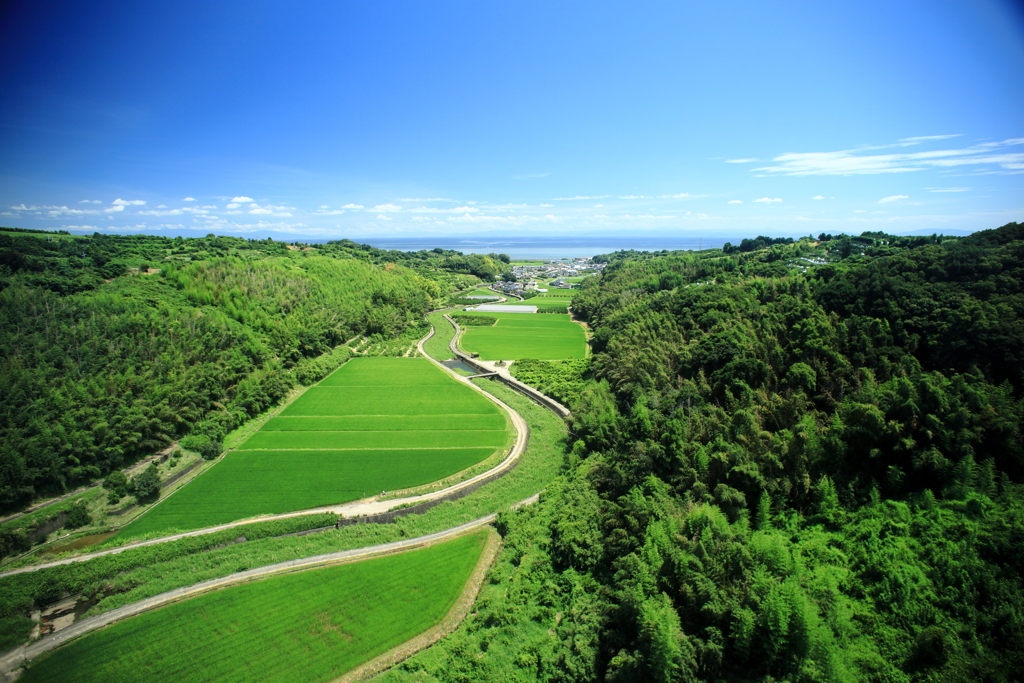 オレンジロードから