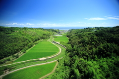 オレンジロードから