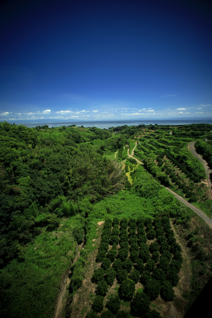 オレンジロードから