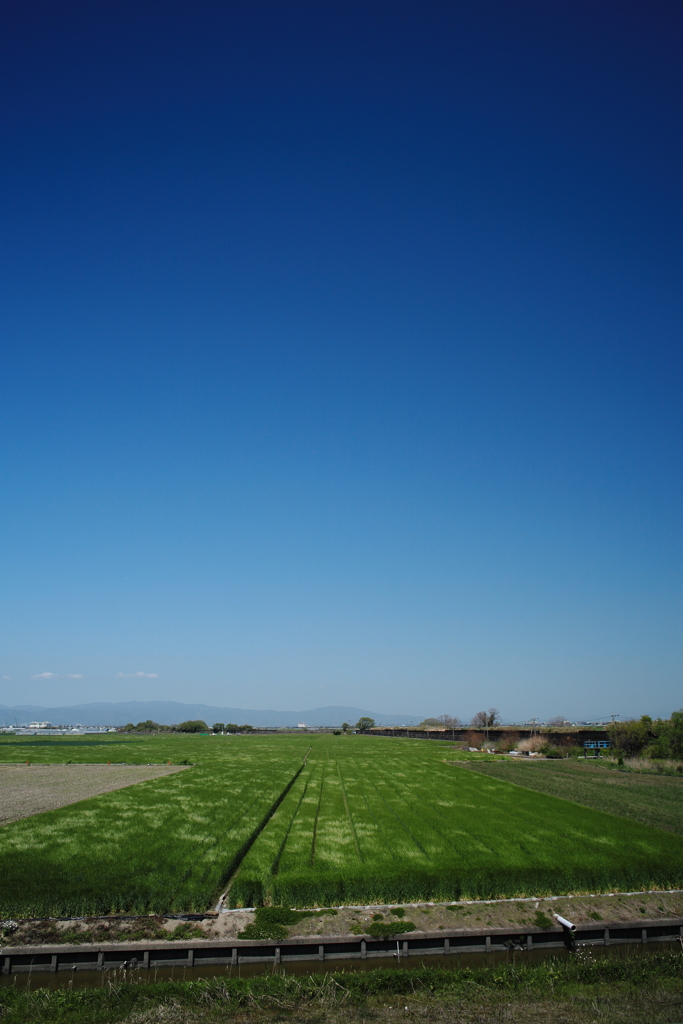 干拓堤防内と外