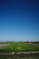 干拓堤防内と外