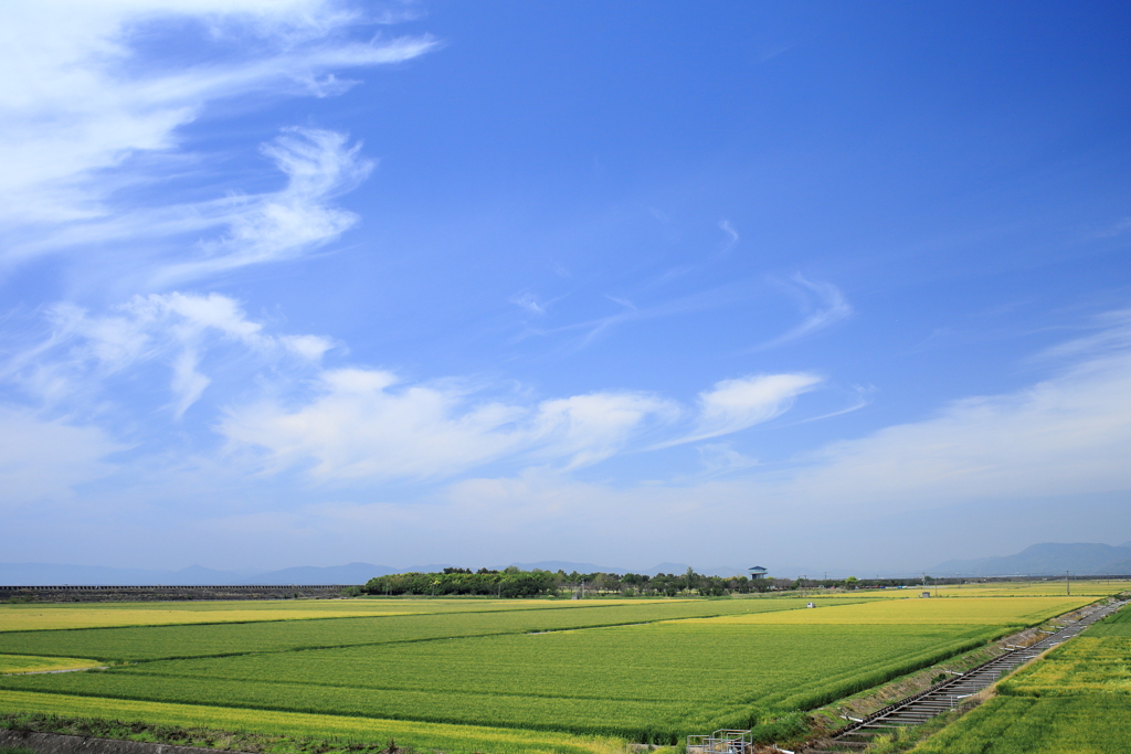 海岸堤防内と外