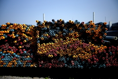 海岸堤防内と外