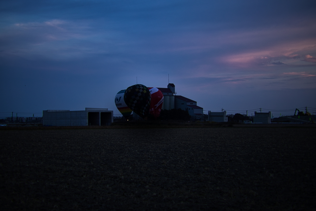 犬と散歩その道すがら