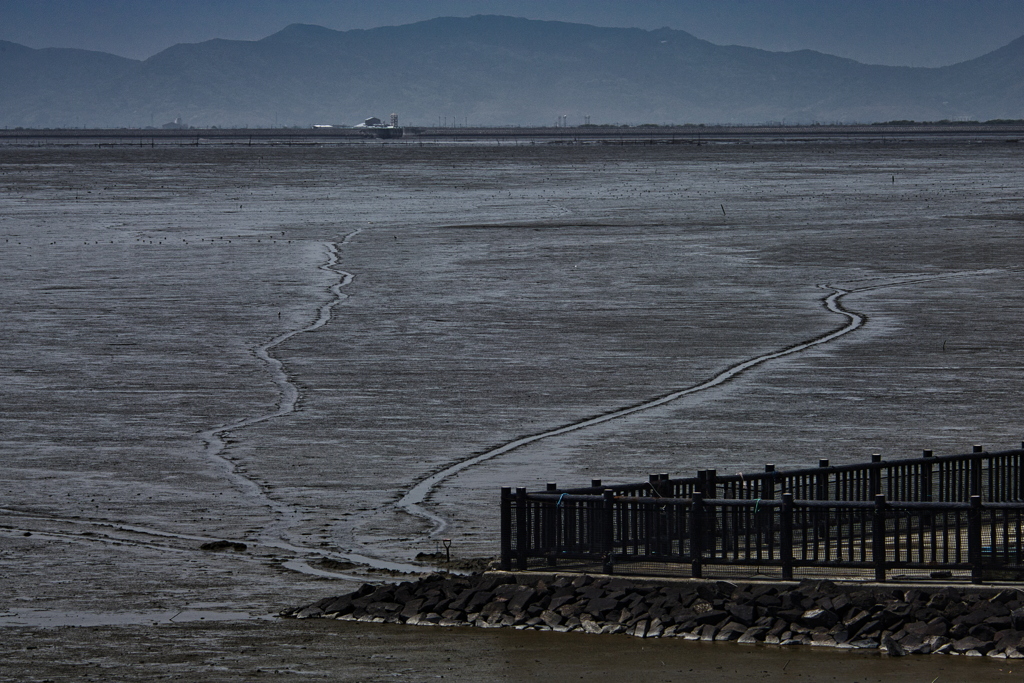 干拓堤防内と外