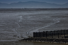 干拓堤防内と外