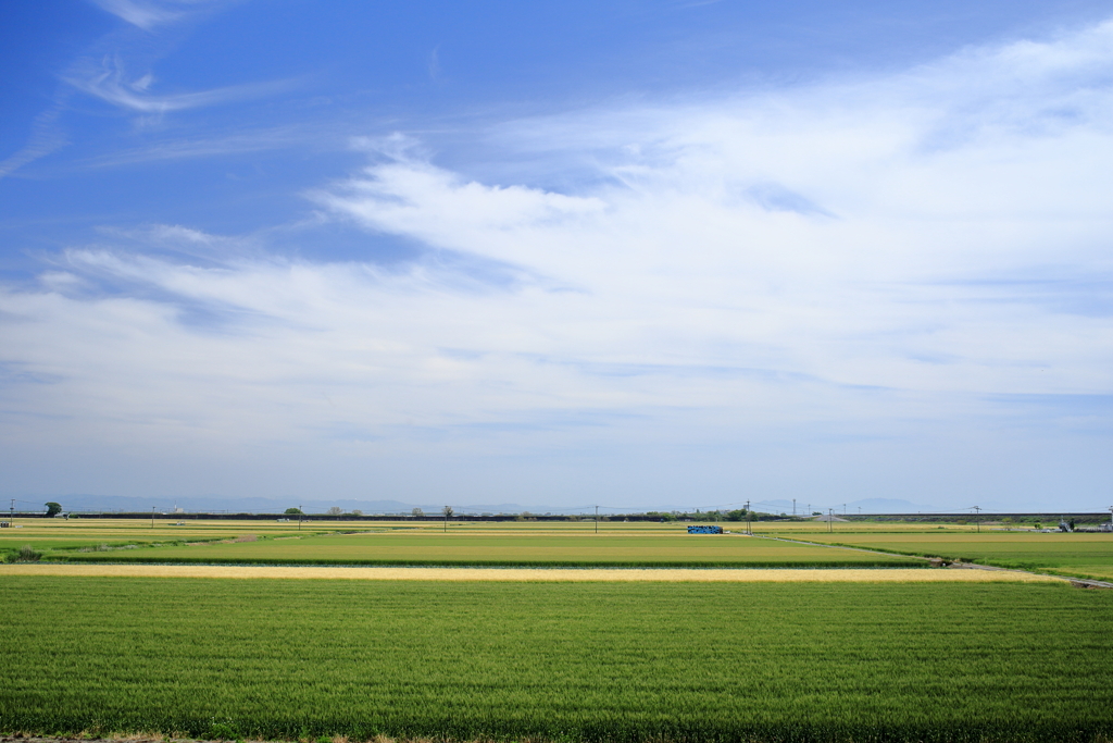 海岸堤防内と外