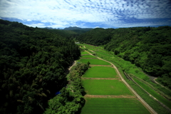 オレンジロードから