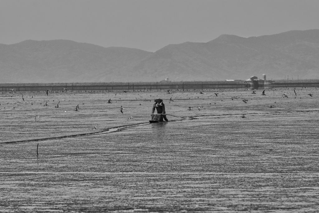 干拓堤防内と外