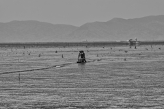 干拓堤防内と外