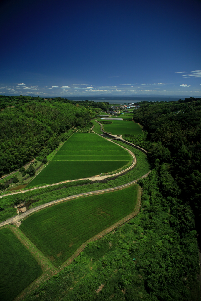 オレンジロードから