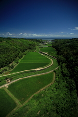 オレンジロードから