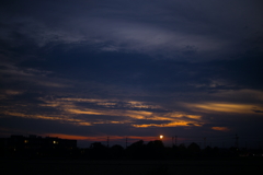 犬と散歩その道すがら