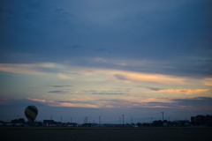 犬と散歩その道すがら