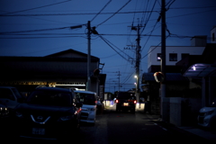 犬と散歩その道すがら