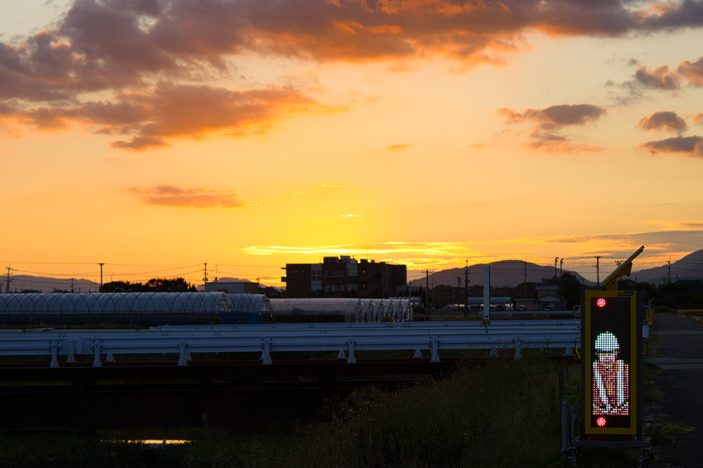 犬と散歩その道すがら