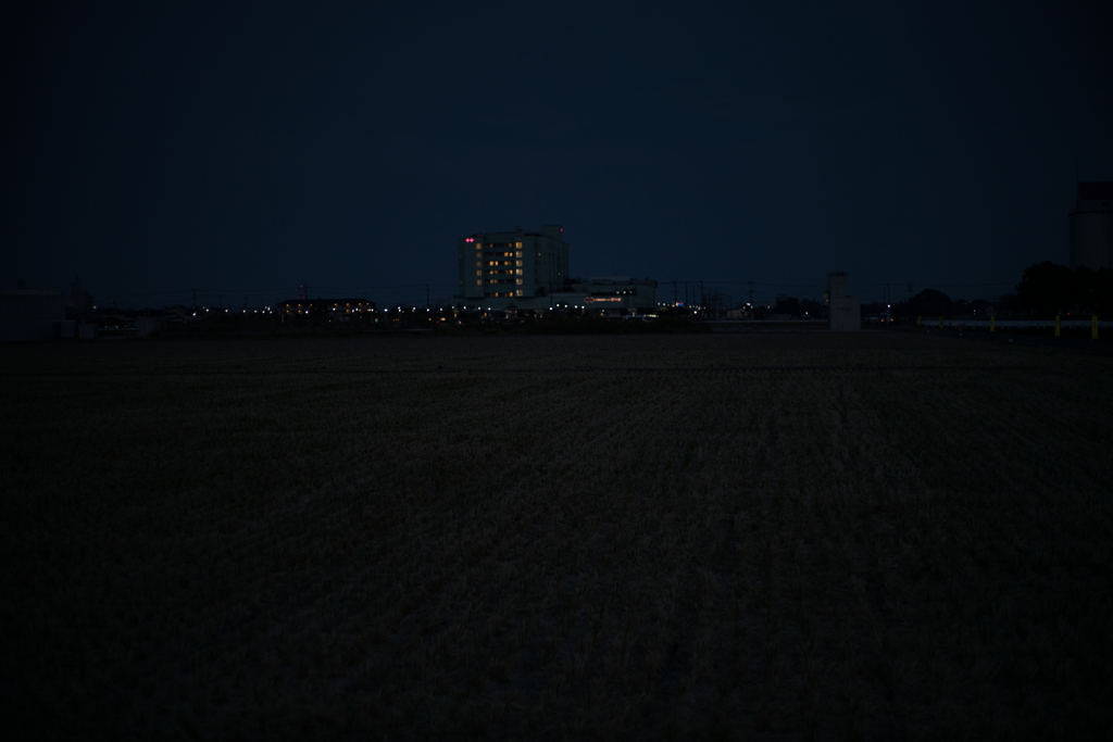 犬と散歩その道すがら