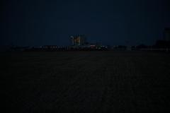 犬と散歩その道すがら