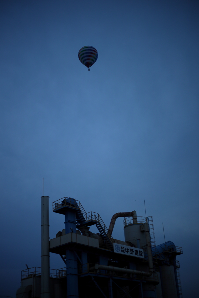 犬と散歩その道すがら