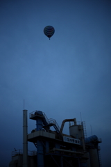 犬と散歩その道すがら