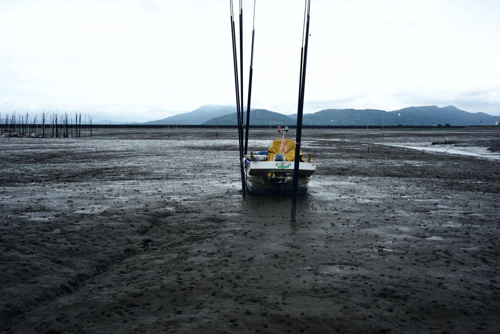 干拓堤防内と外