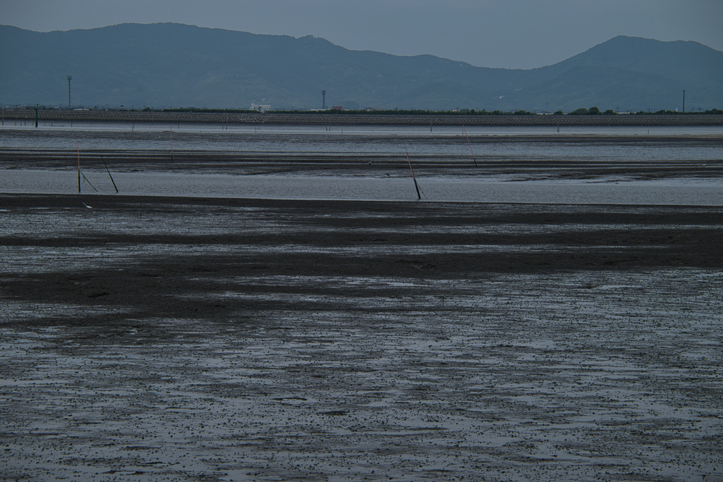海岸堤防内と外