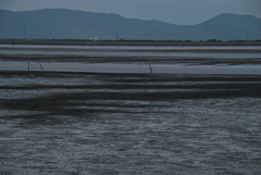 海岸堤防内と外