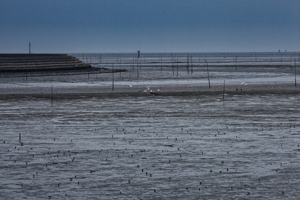 干拓堤防内と外